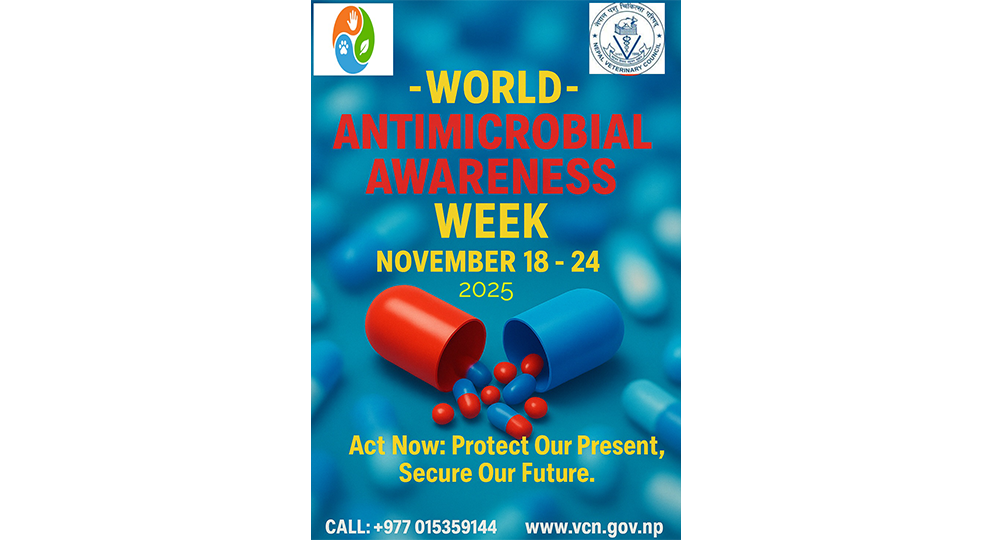 Slider Image: World AMR Awareness Week 2025